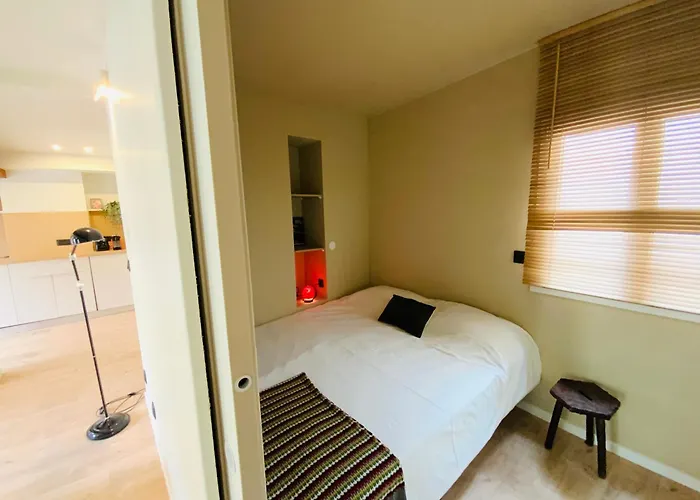 T2 Renove Cosy Et Lumineux פרפיניין